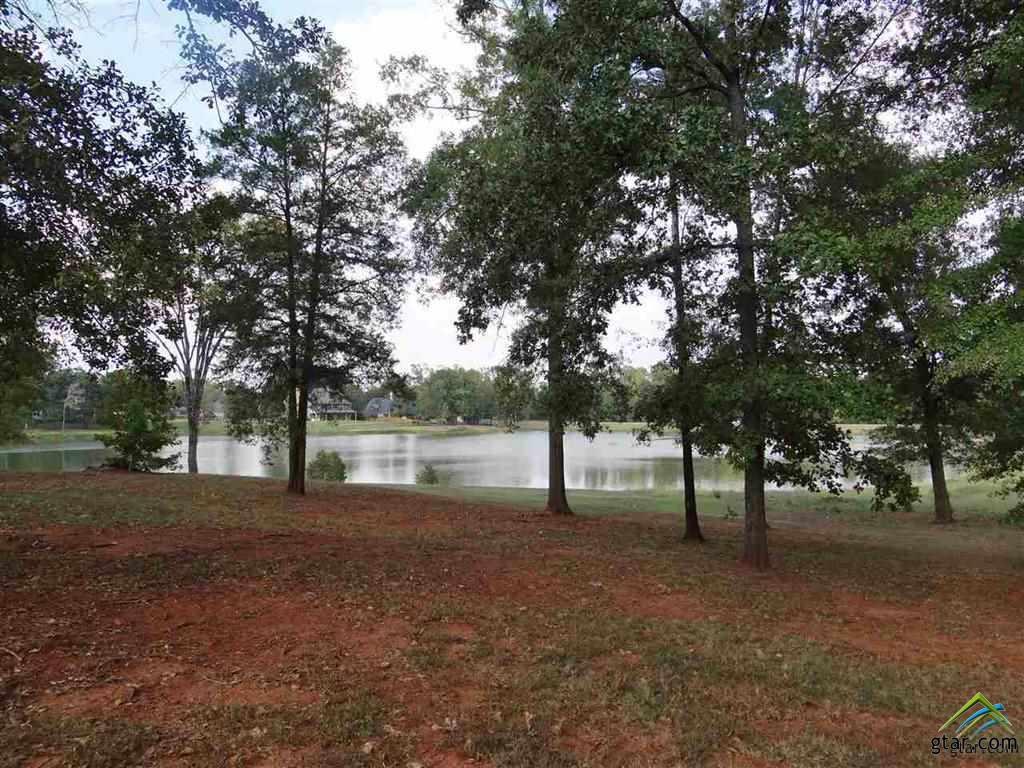113 Lake Lou Ella - Photo 1