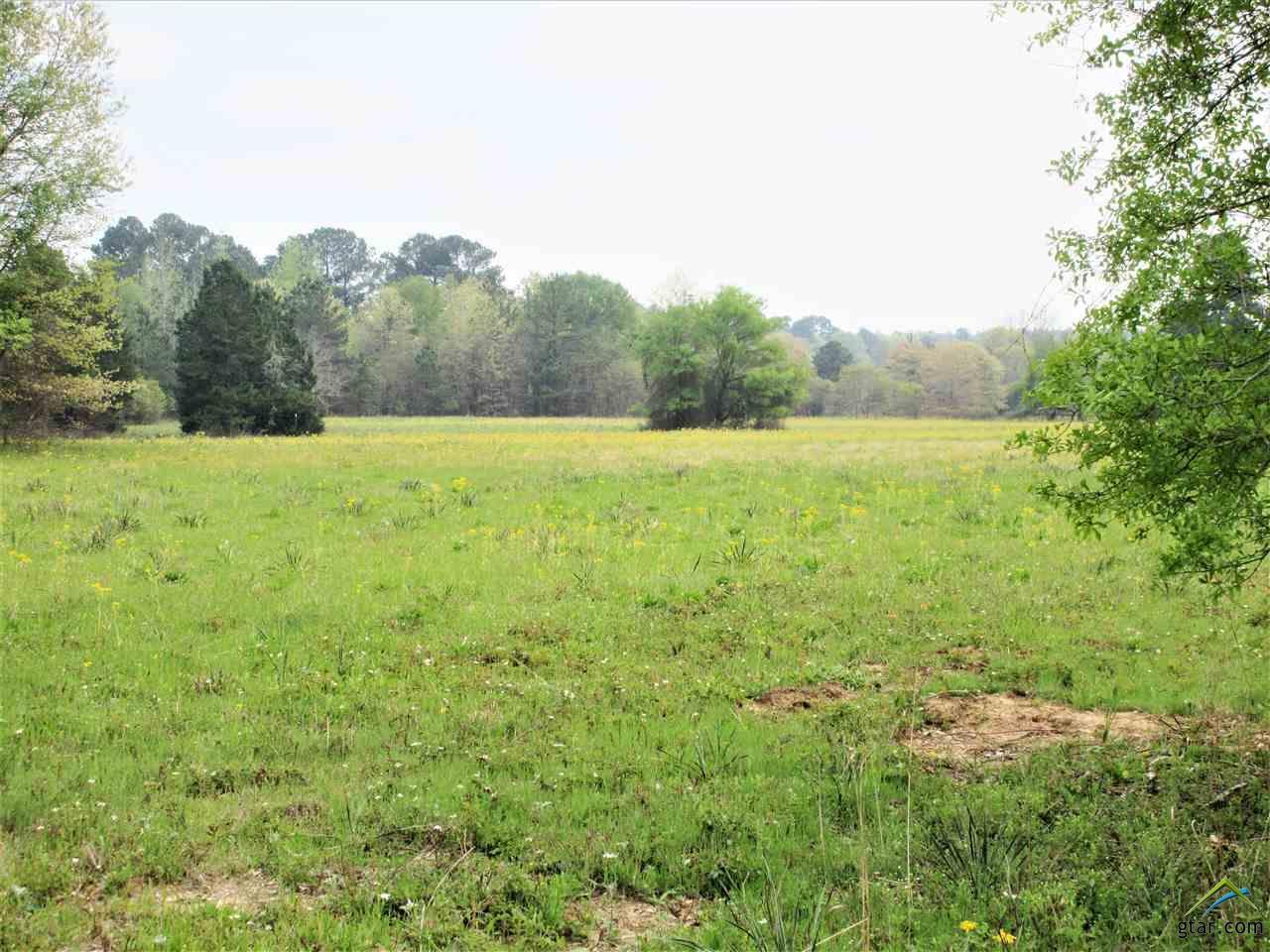 20860 Fm 747 - Photo 1
