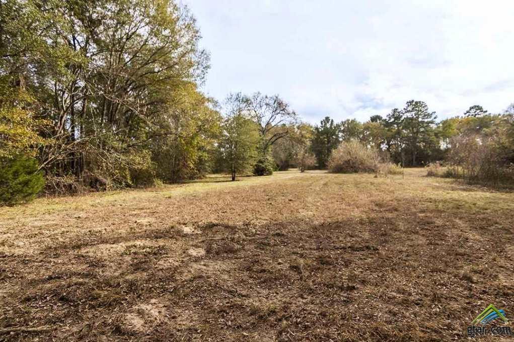 1363 County Road 152 E - Photo 1