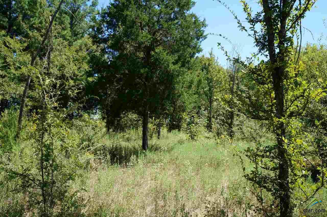 327 Grand View - Photo 1