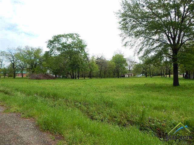 TBD 1.57 Hwy 271 - Photo 1
