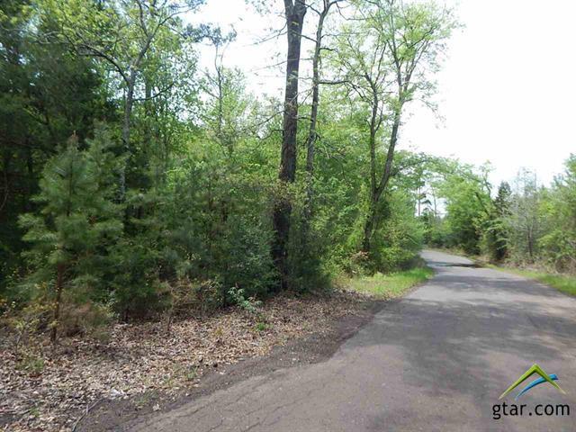 TBD 16 Acres Red Cedar - Photo 1