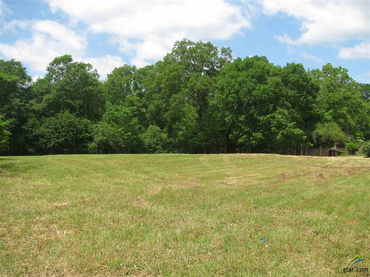 5815 Covey Ln - Photo 1
