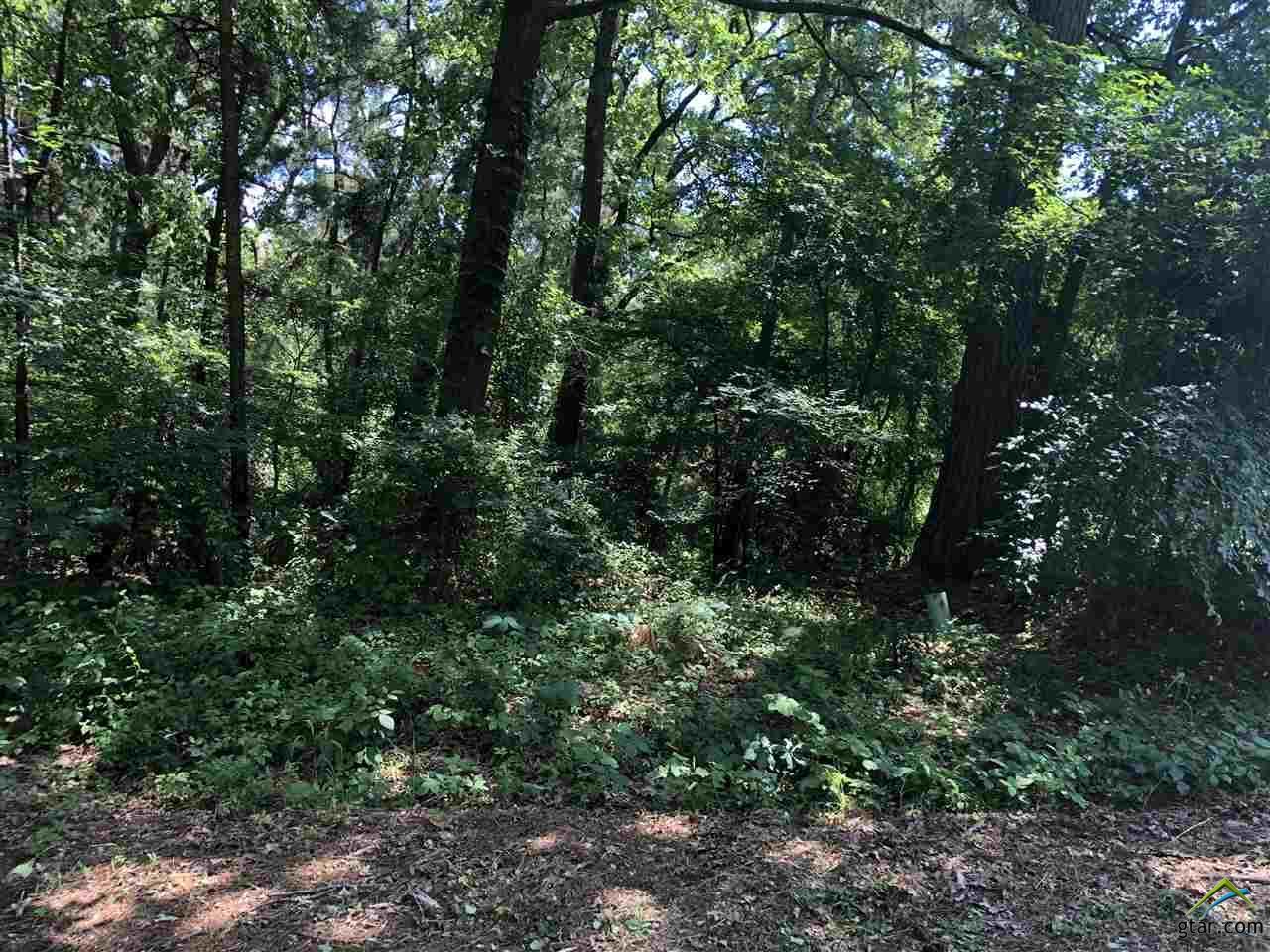 000 Shady Trail Dr And Ravenwood - Photo 1 000 Shady Trail Dr And Ravenwood - Photo 1