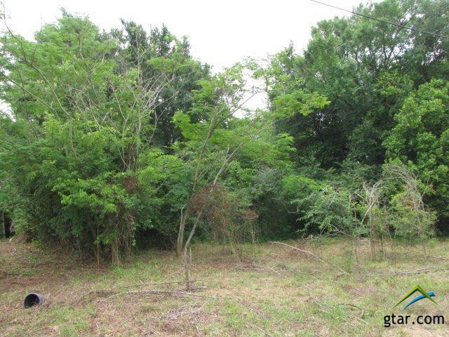 TBD Us 79 - Photo 1