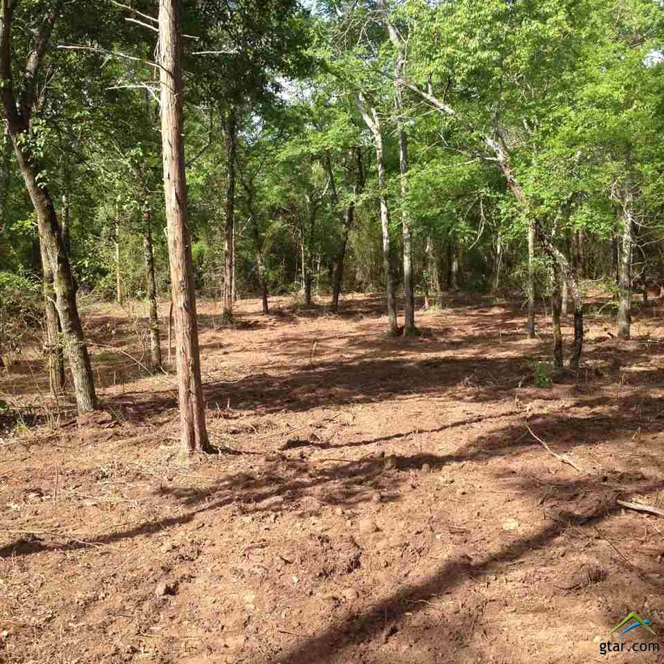 424 Gibson Rd. - Photo 1