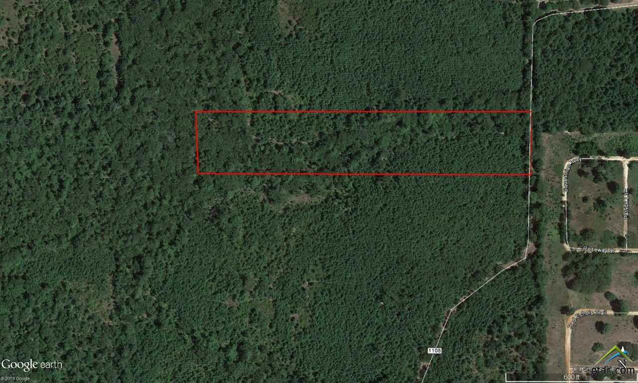 18524 County Road 1108 - Photo 1 18524 County Road 1108 - Photo 1