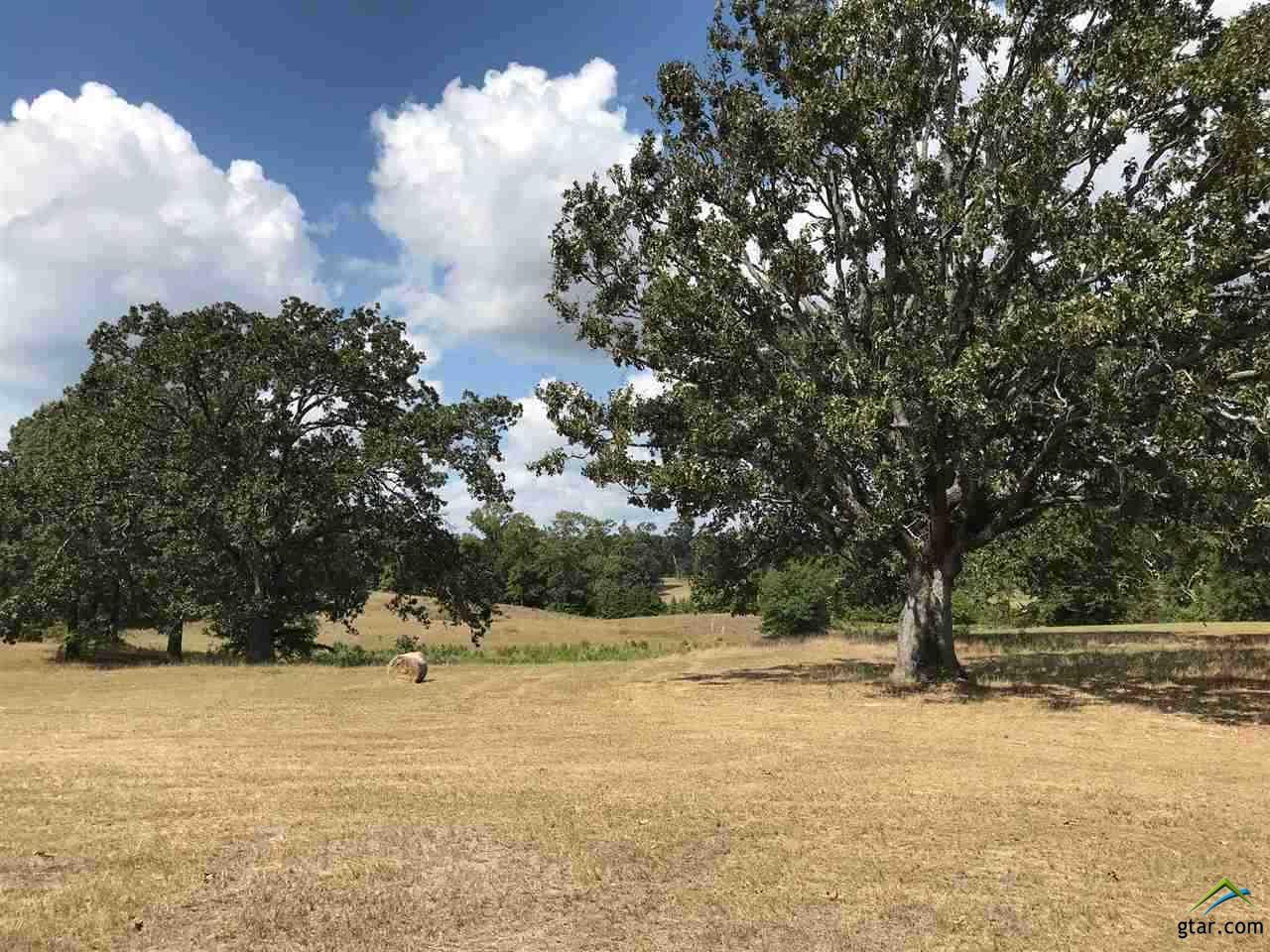 TBD Hwy 300 - Photo 1