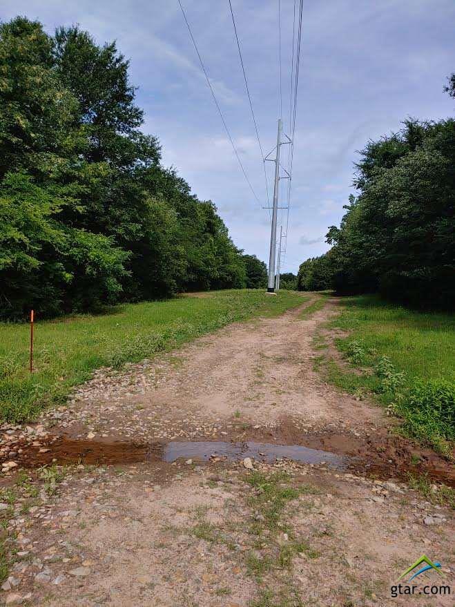 TBD Pr 2050 #6 - Photo 1