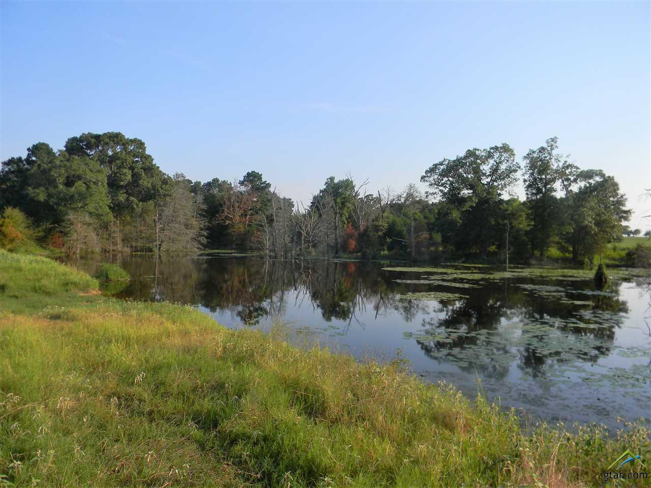 7938 Fm 317 - Photo 1