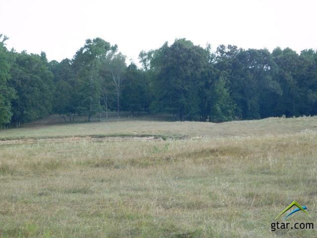 11433 Ocelot Road - Photo 1