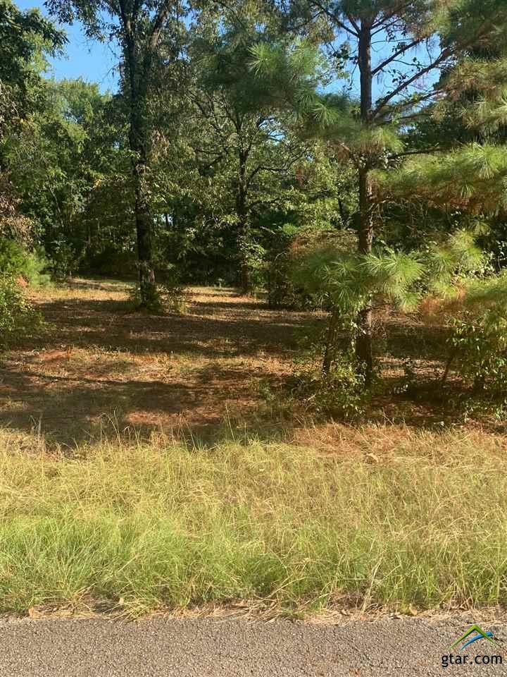 15919 Shepards Glen - Photo 1 15919 Shepards Glen - Photo 1