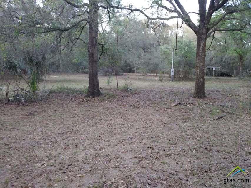 18780 Three Lakes Road - Photo 1