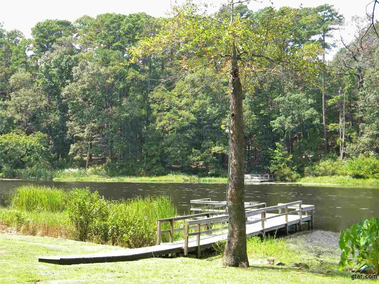 832 Clearwater Trail - Photo 1