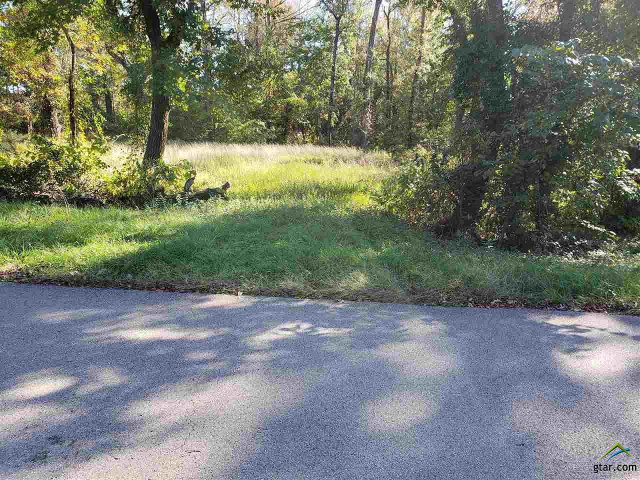 21778 Syrah Lane - Photo 1