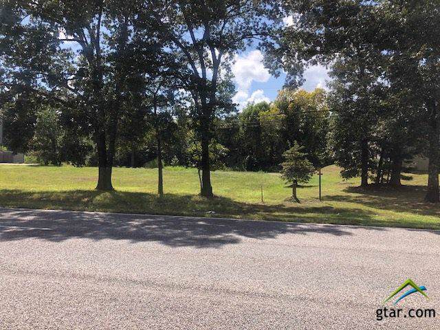 000 Hwy 110 - Photo 1