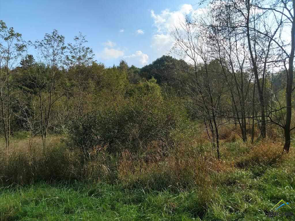 918 Cumberland - Photo 1