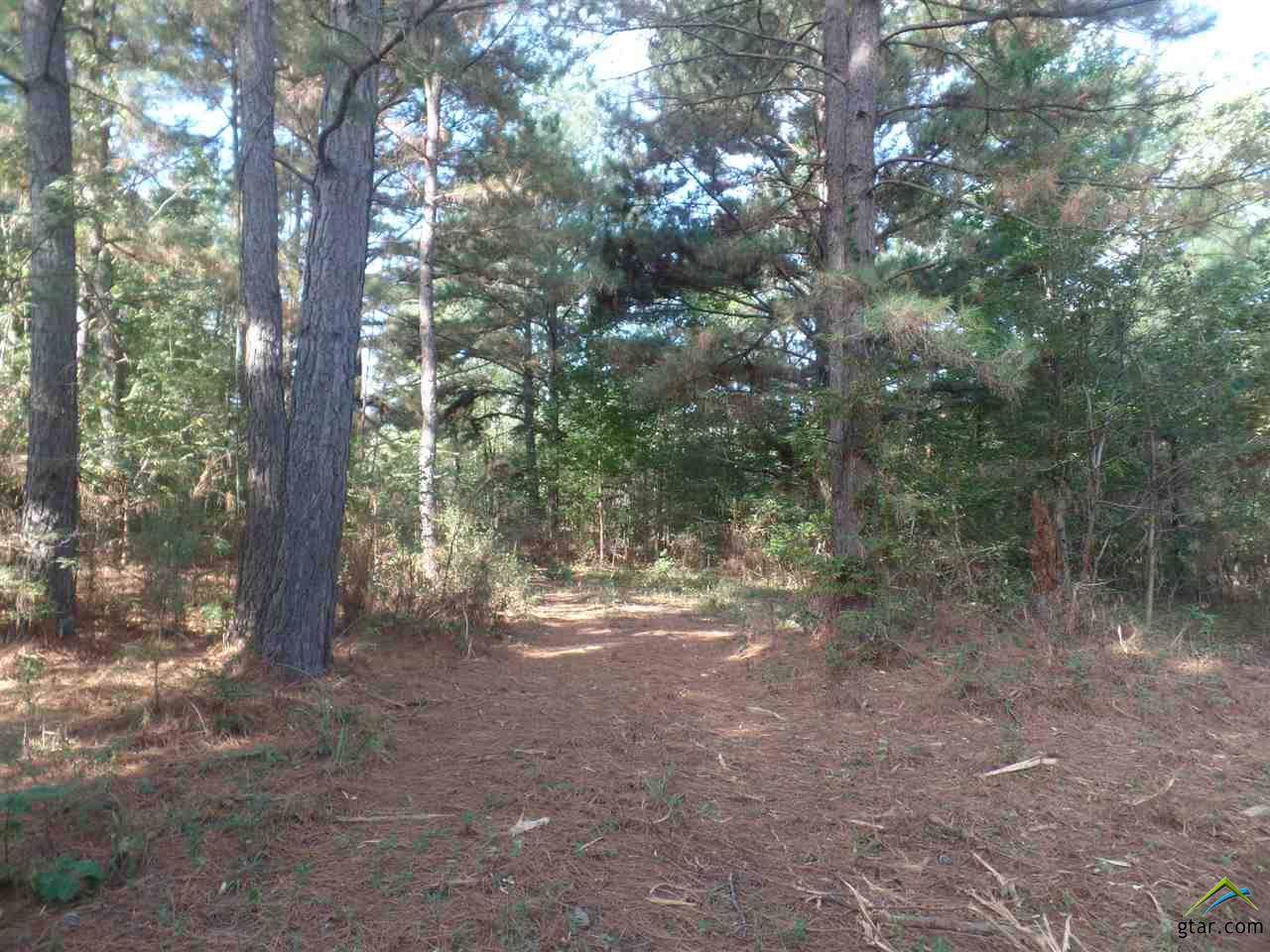 TBD Cr 1814 - Photo 1