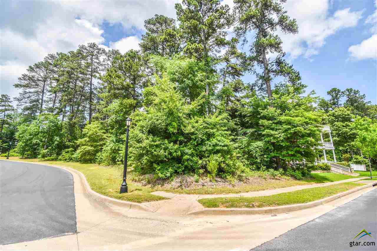 4018 Spartanburg Ln - Photo 1