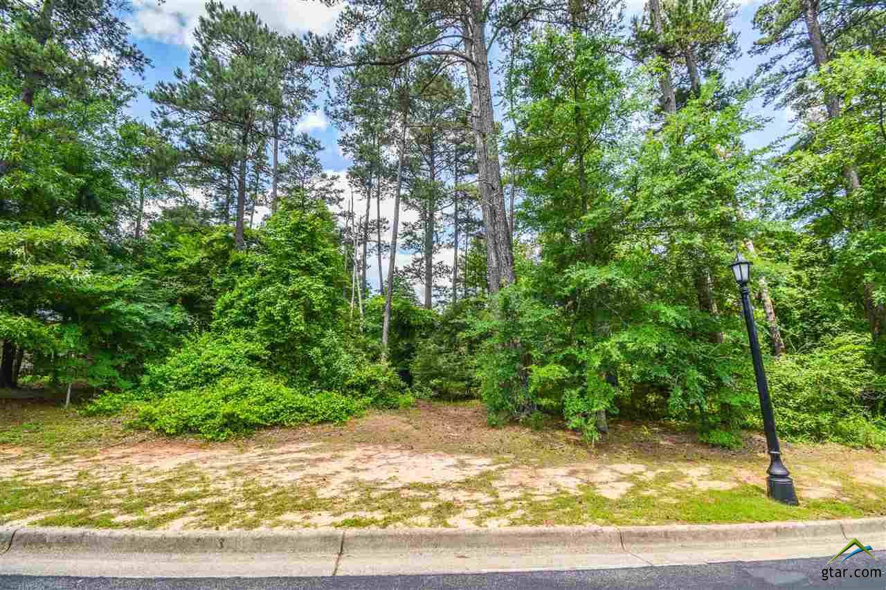 4022 Spartanburg Ln - Photo 1