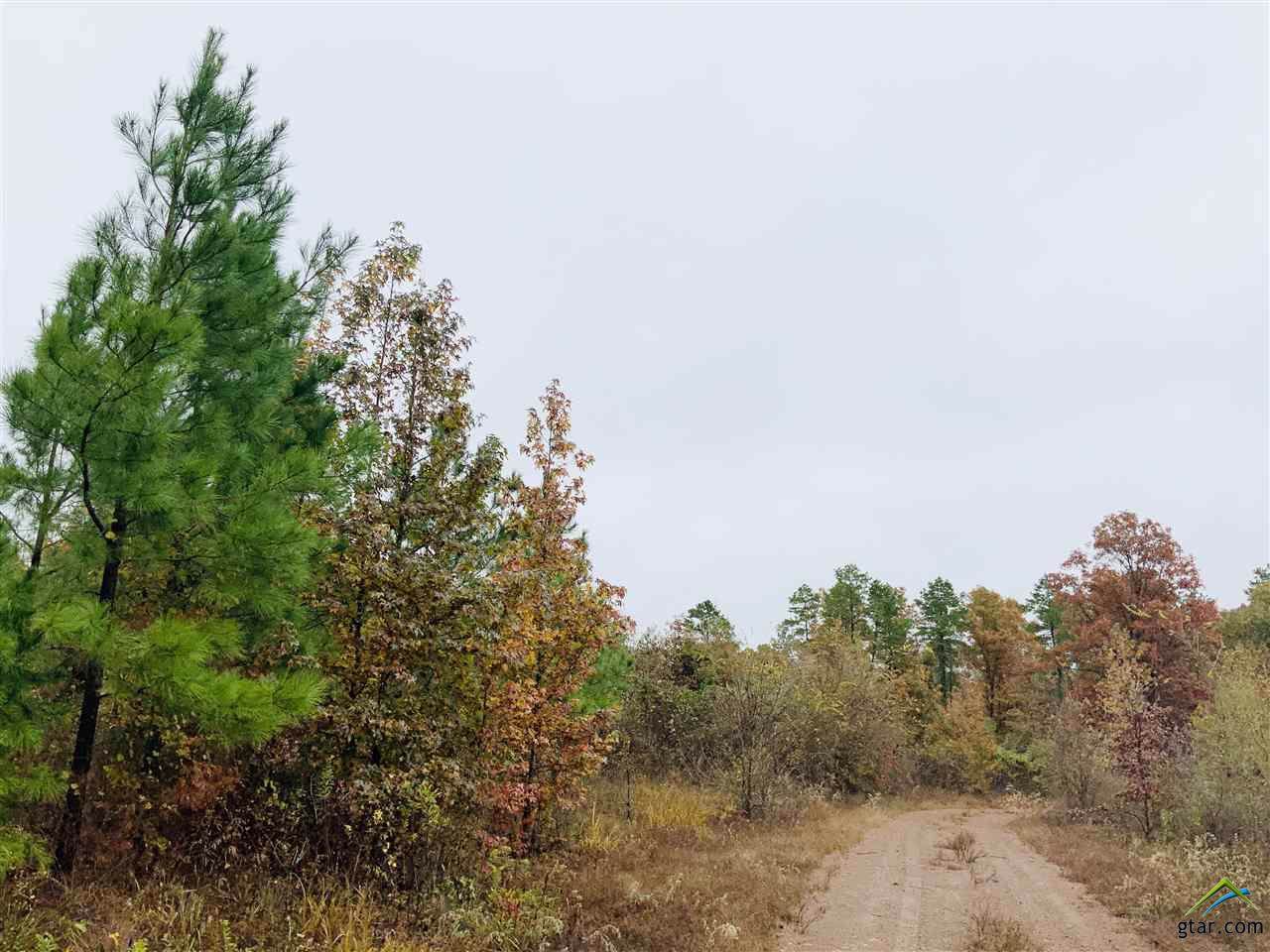 Lot B Cr 2303 - Photo 1