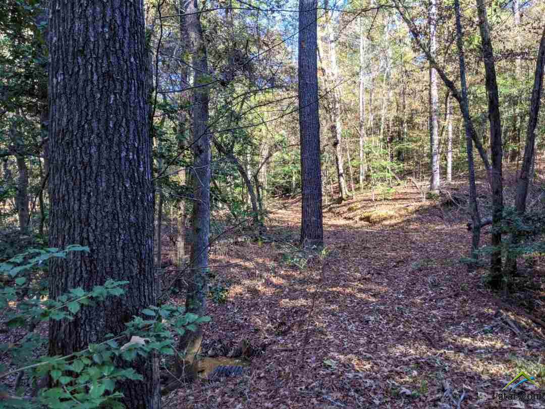 TBD C.R. 4120 - Photo 1