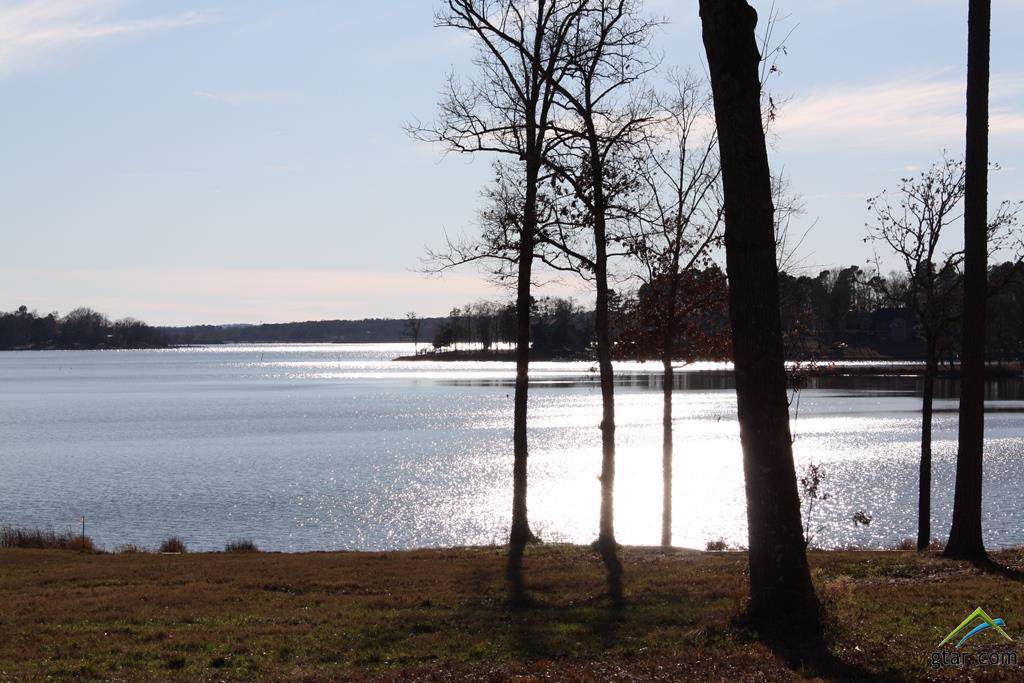 Lot 10R Caddo Point Trail - Photo 1 Lot 10R Caddo Point Trail - Photo 1
