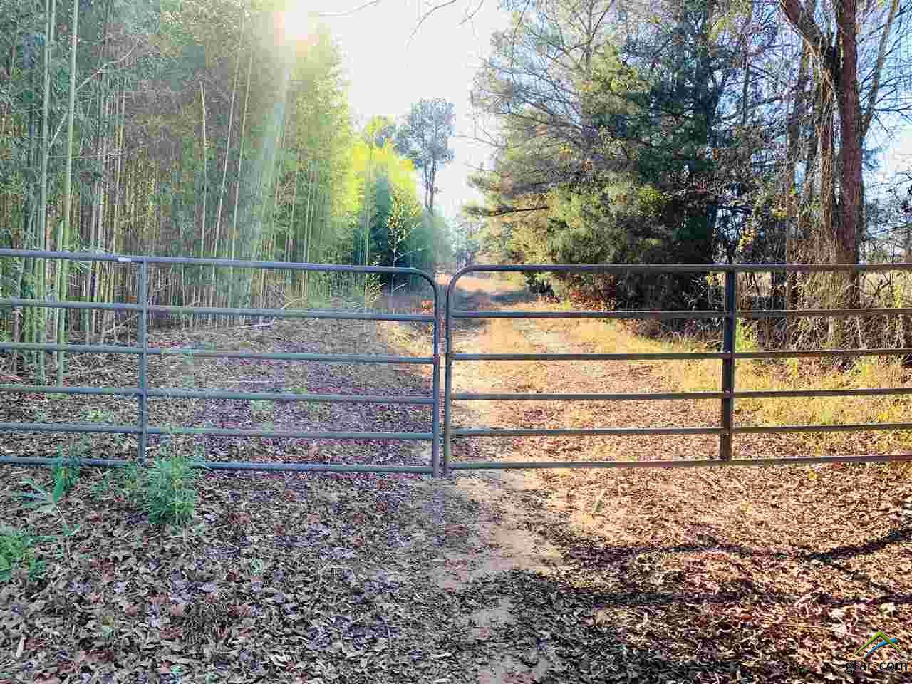 tbd Main St. - Photo 1