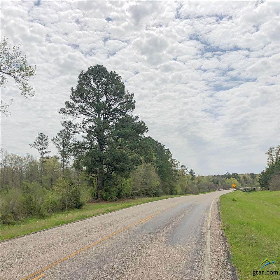 0 Hwy 248 - Photo 1