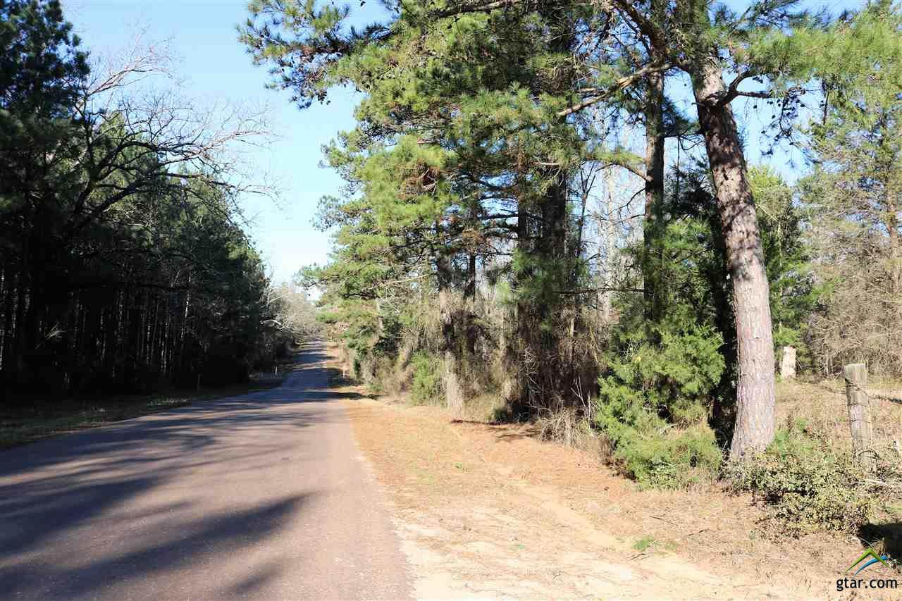 TBD Davidson Road, 35.667 Ac - Photo 1