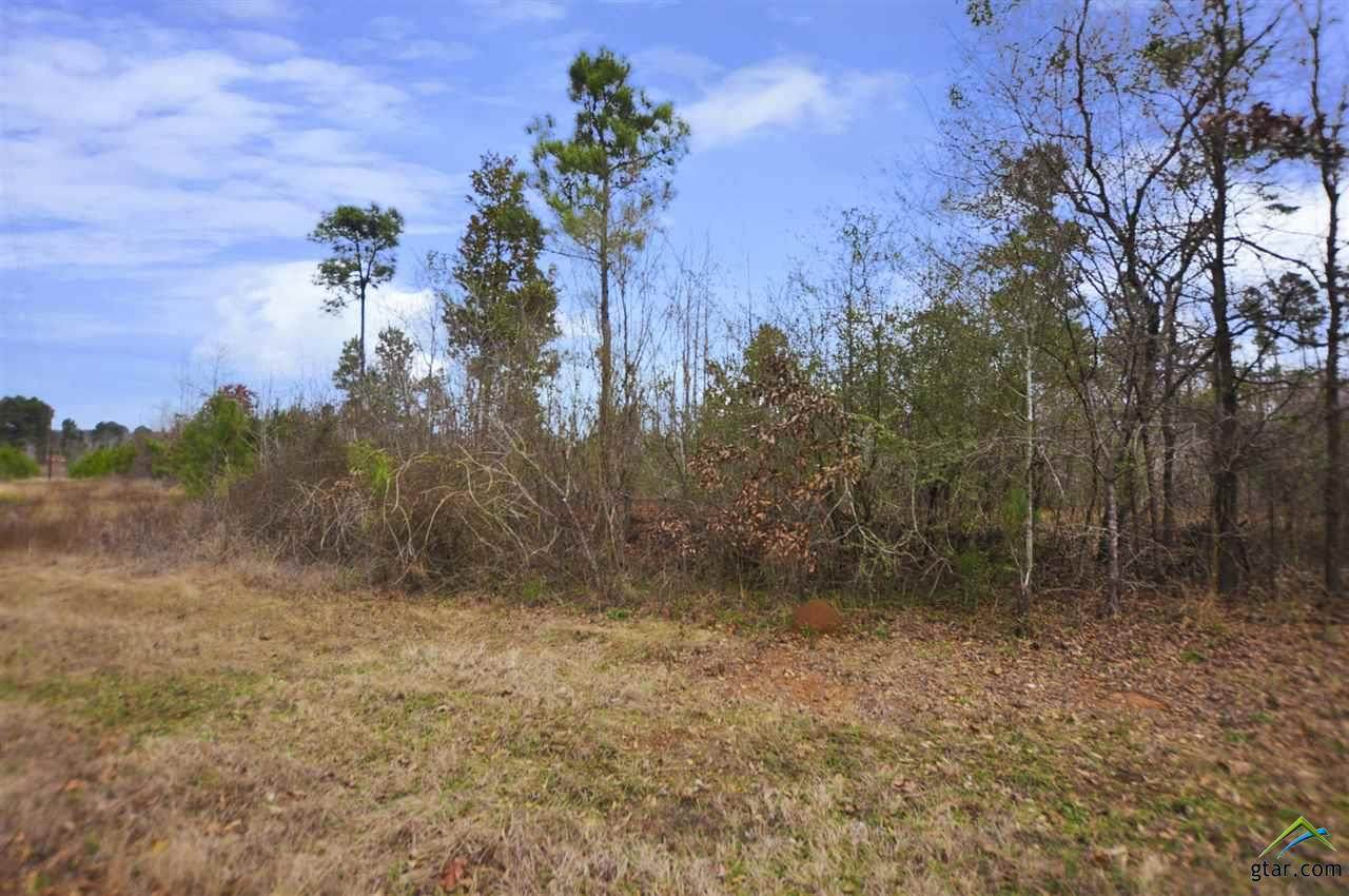 TBD Cr 165 - Photo 1