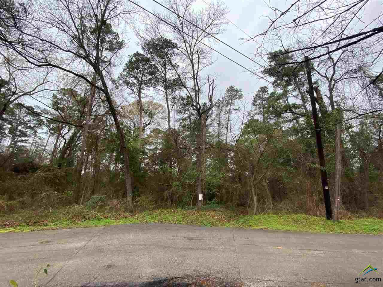 TBD Hickory Ln - Photo 1