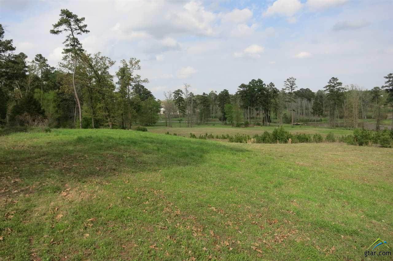 tbd Country Club Rd (Cr 3117) - Photo 1