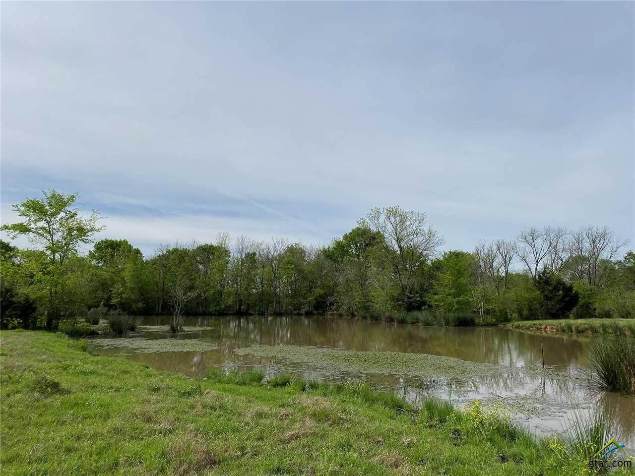 000 County Road 3561 - Photo 1
