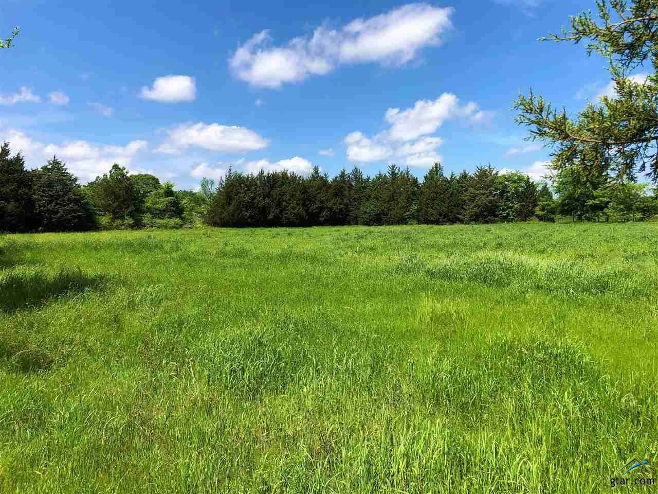 16576 C R 1100 - Photo 1 16576 C R 1100 - Photo 1