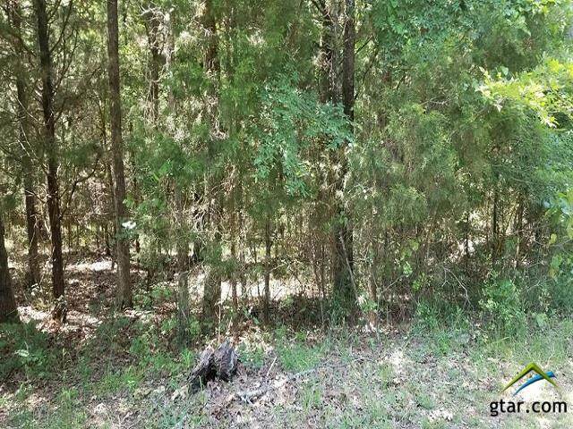 000 Cedar Oaks - Photo 1 000 Cedar Oaks - Photo 1