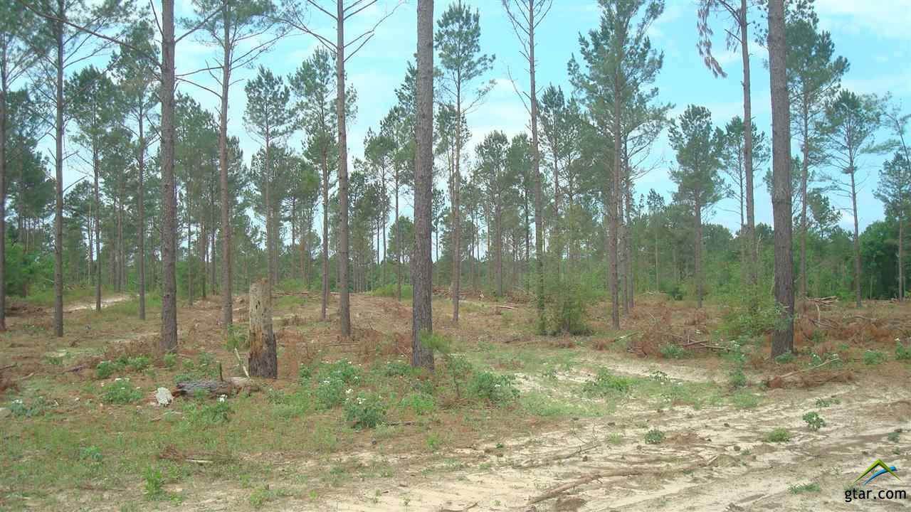 TBD Us Hwy 259 - Photo 1