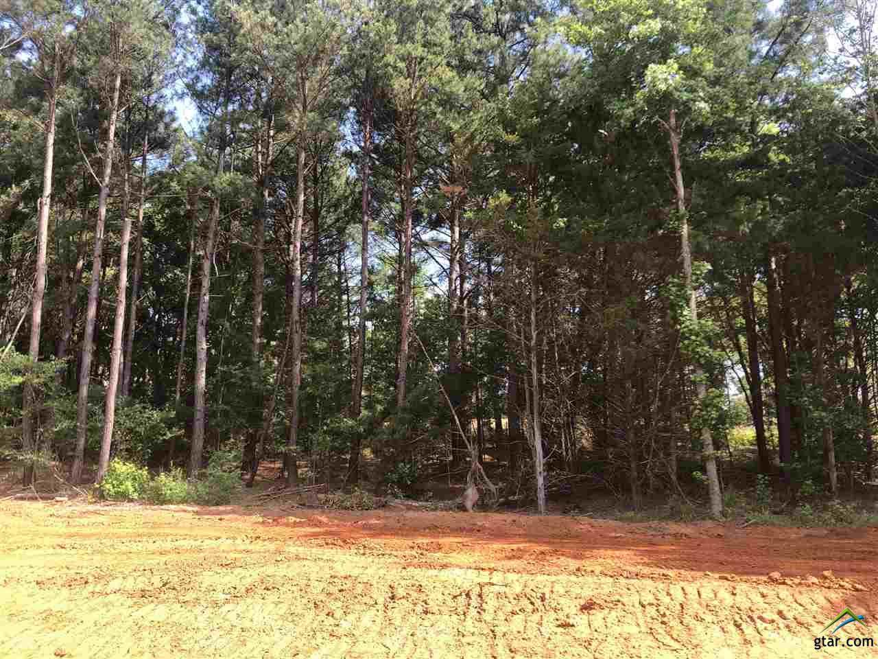 12244 Hackberry Hollow - Photo 1
