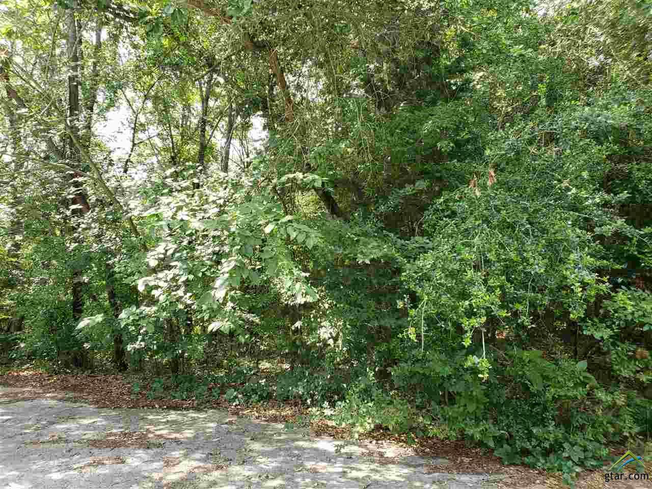 LOT 36 Brittian Court - Photo 1