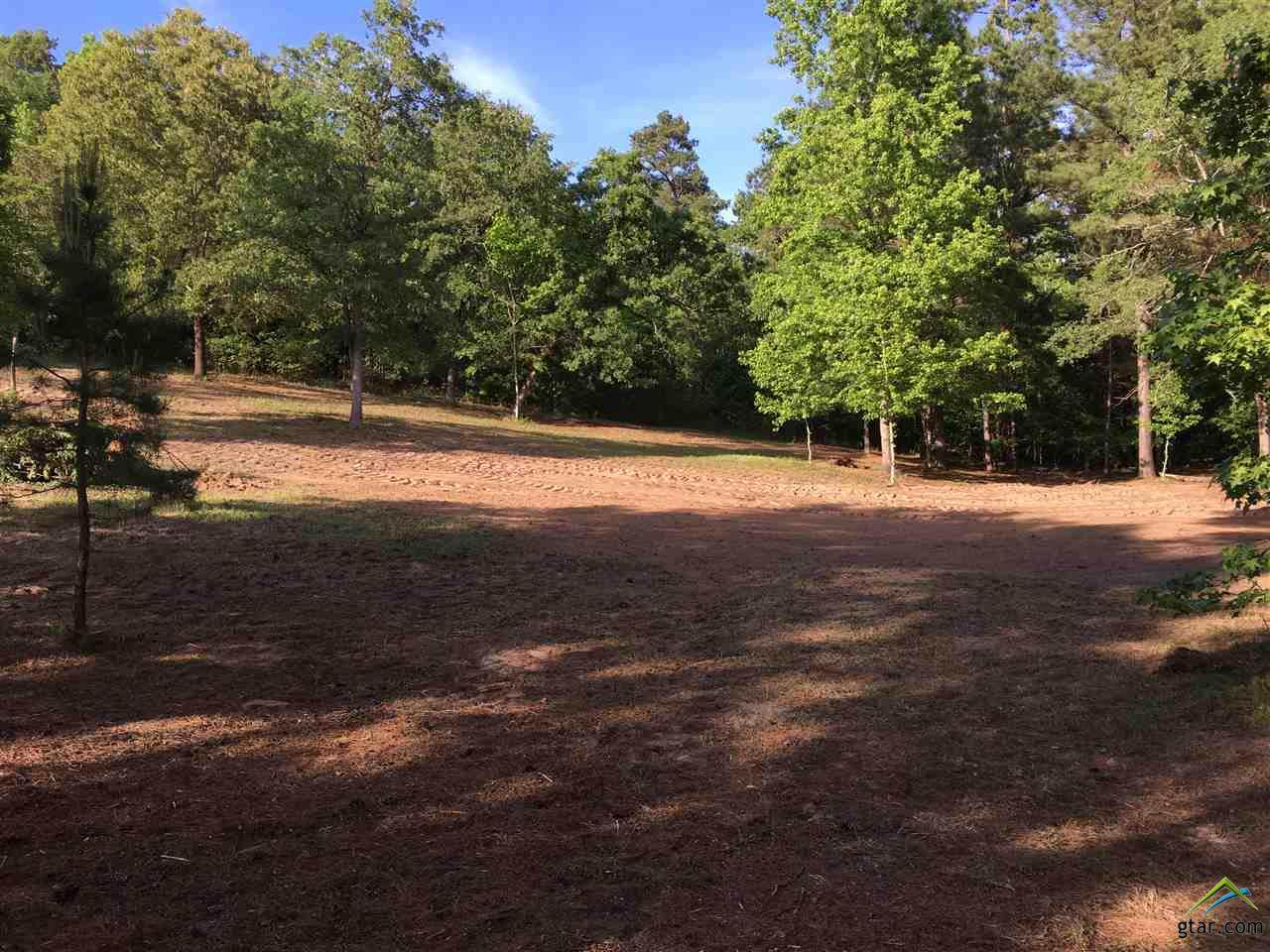 Lot 40 County Road 3197 - Photo 1