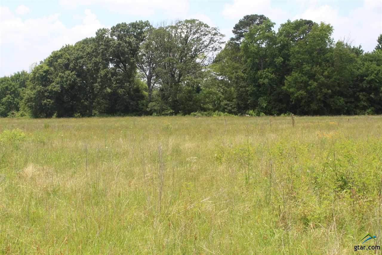 000 CR 1150 Tract 3 - Photo 1