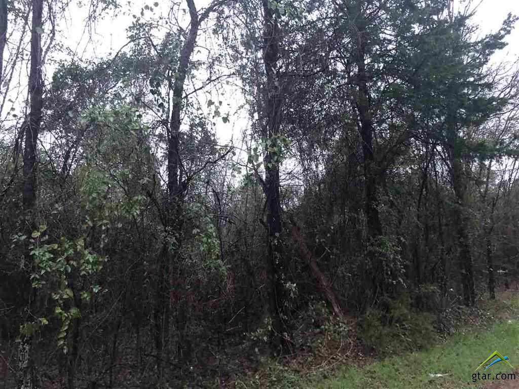 Cr 4114 Lovelady Rd - Photo 1