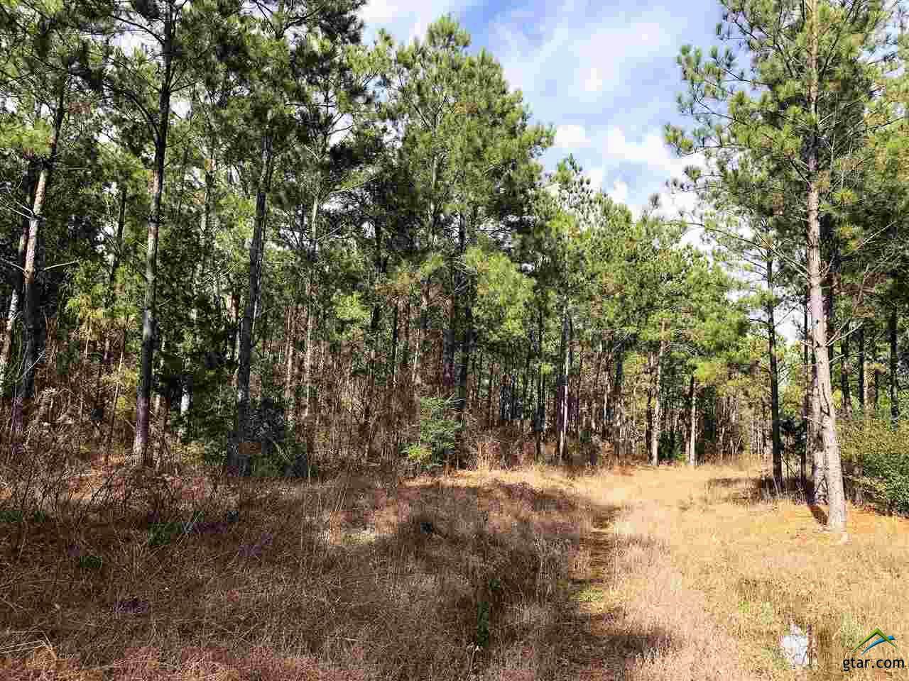 TBD Fm 2274 - Photo 1