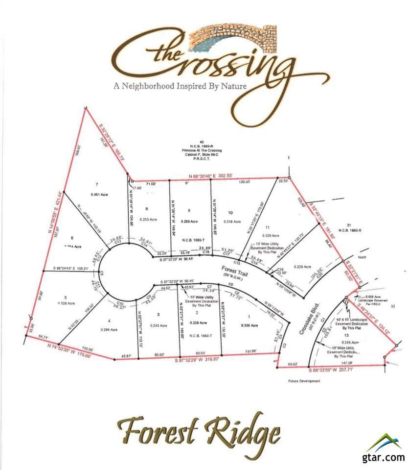 Lot 10 Forest Ridge - Photo 1