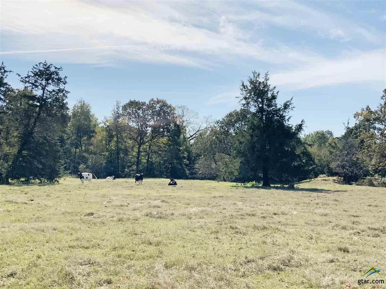 TBD Fm 557 & County Road 4511 - Photo 1