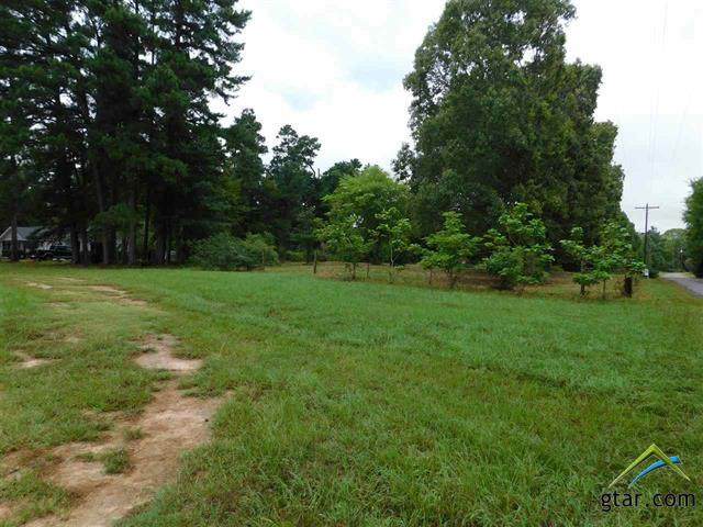 TBD Pine Road - Photo 1