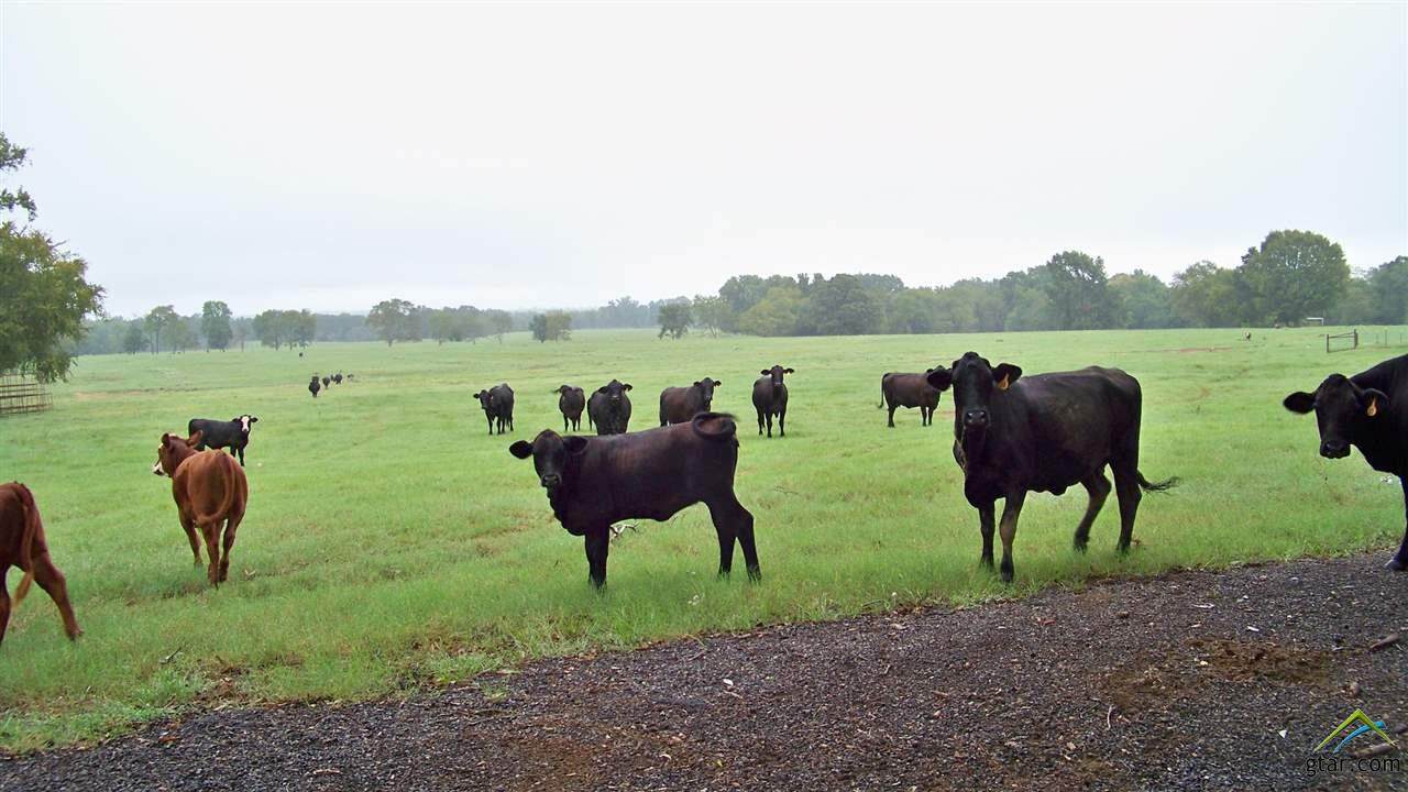 23115 U S Hwy 79E - Photo 1
