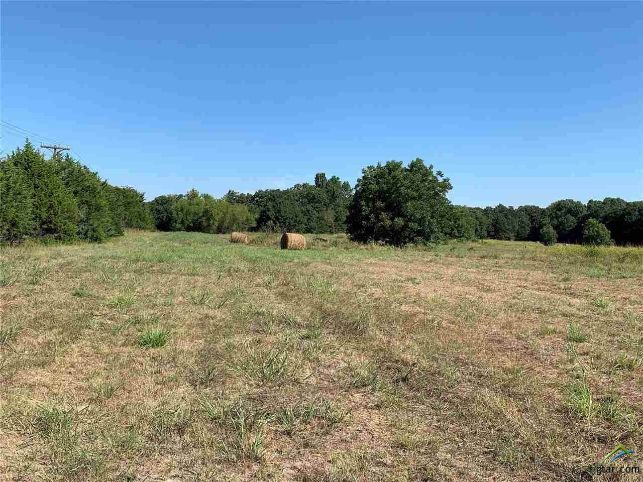 44 acres Hwy 69 - Photo 1
