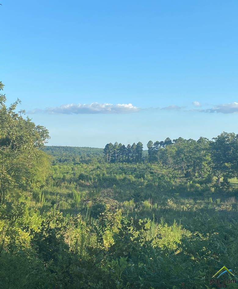 TBD 12 ACRES N Live Oak - Photo 1