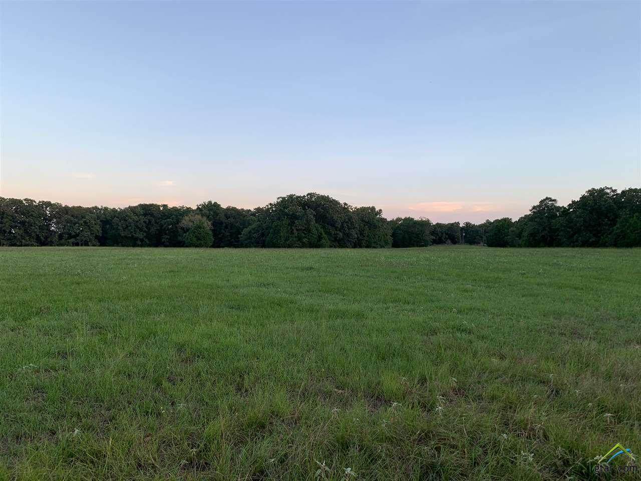 10330 Fm 2709 - Photo 1